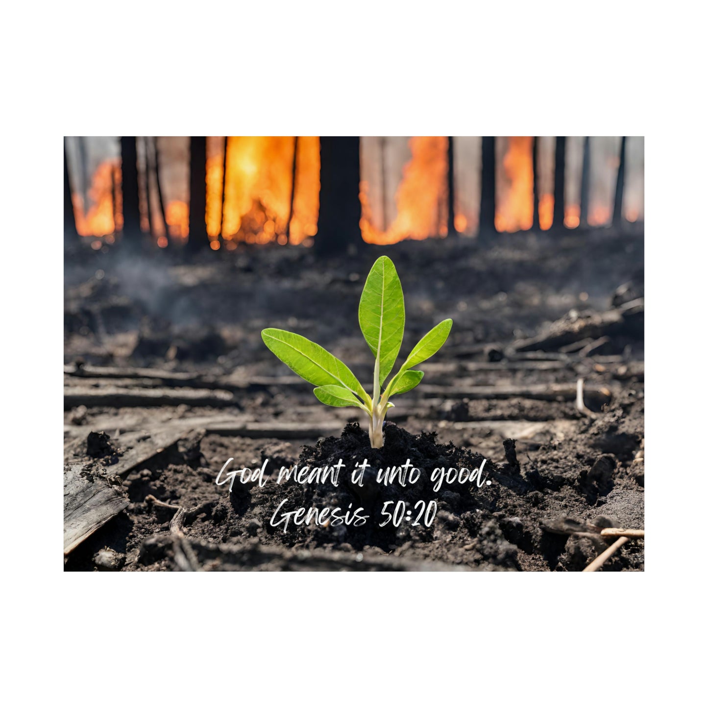 God meant it unto good - horizontal poster