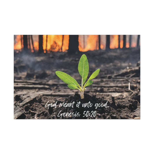 Genesis 50:20: God meant it unto good. Horizontal canvas wall art.