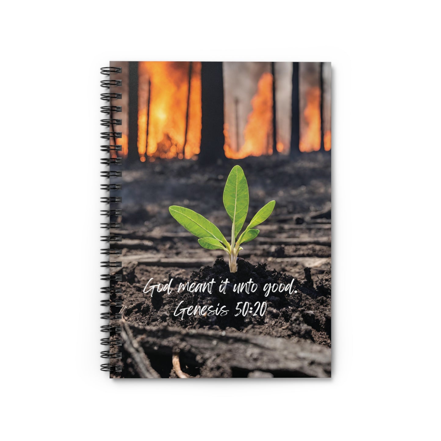 God meant it unto good - notebook