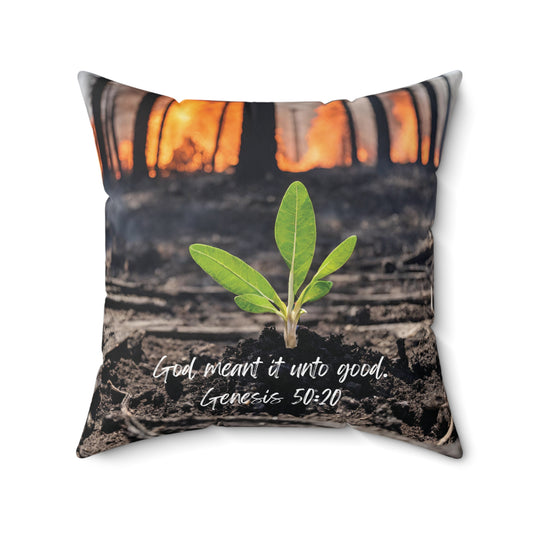 Genesis 50:20: God meant it unto good. Pillow.