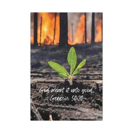 Genesis 50:20: God meant it unto good. Vertical canvas wall art.