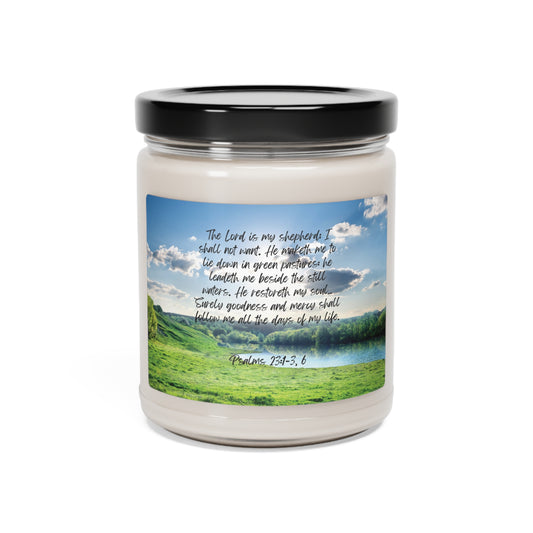 Psalm 23:1-3, 6: The Lord is my shepherd; I shall not want. He maketh me to lie down in green pastures: he leadeth me beside the still waters. He restoreth my soul… Surely goodness and mercy shall follow me all the days of my life. Candle.