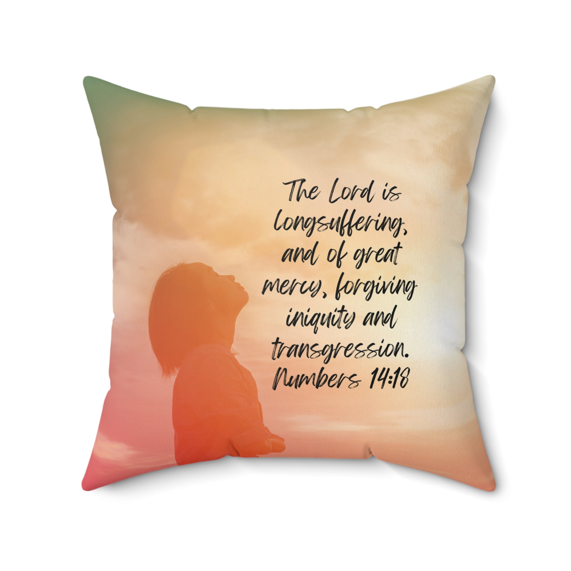 Numbers 14:18: The Lord is longsuffering, and of great mercy, forgiving iniquity and transgression. Pillow.